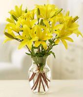 Sunshine Gifts toHAL, sparsh flowers to HAL same day delivery