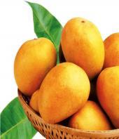 Premium Alphonso Mangoes 24pcs Gifts toCooke Town,  to Cooke Town same day delivery