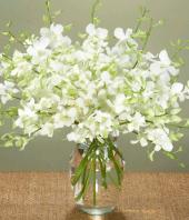 Pure Love Gifts toThiruvanmiyur, sparsh flowers to Thiruvanmiyur same day delivery