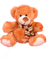 Brown Soft Toy Gifts toJayamahal, teddy to Jayamahal same day delivery