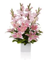 Blushing Beauty Gifts tomumbai, sparsh flowers to mumbai same day delivery