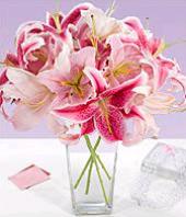 A Gentle Touch Gifts toHAL, sparsh flowers to HAL same day delivery