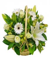 Elegant Love Gifts toBanaswadi, flowers to Banaswadi same day delivery