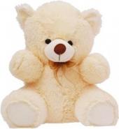2 Feet Teddy Bear Gifts toDomlur, teddy to Domlur same day delivery