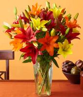 Colour Fiesta Gifts toChurch Street, sparsh flowers to Church Street same day delivery