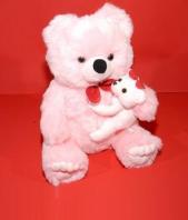 Mom n Baby Soft Toys Gifts toIndia, teddy to India same day delivery