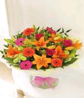 Tropicana Gifts toIndia, sparsh flowers to India same day delivery