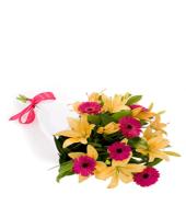 One love Gifts tomumbai, sparsh flowers to mumbai same day delivery