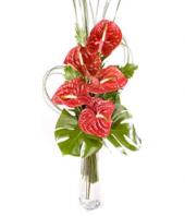 Oriental Flame Gifts toBrigade Road, sparsh flowers to Brigade Road same day delivery