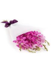 Orchid extravagance Gifts toDomlur, sparsh flowers to Domlur same day delivery