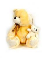 Pair Teddy Gifts toIndia, teddy to India same day delivery
