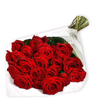 28 red roses Bunch