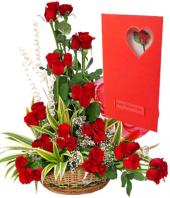 Regal Red Gifts toHAL, sparsh flowers to HAL same day delivery