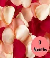 3 Months of Flowers Gifts toElectronics City, flower every month to Electronics City same day delivery