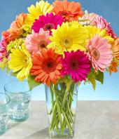 Colourful Surpriser Gifts toThiruvanmiyur, sparsh flowers to Thiruvanmiyur same day delivery