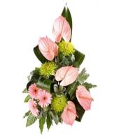 Fantasia Gifts tomumbai, sparsh flowers to mumbai same day delivery