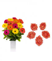Color full Flowers and Floral Designed Earthen Diyas Gifts toBanaswadi, Combinations to Banaswadi same day delivery