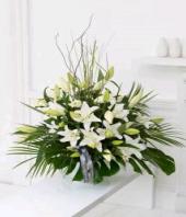 Heavenly White Gifts toDomlur, sparsh flowers to Domlur same day delivery