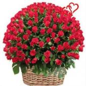 100 red roses basket