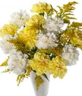 Blooming Friendship Gifts toThiruvanmiyur, sparsh flowers to Thiruvanmiyur same day delivery