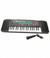 Mike with Electronic Keyboard Gifts toAdyar, toys to Adyar same day delivery