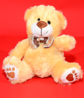 Best Friend Soft Toy Gifts toChurch Street, teddy to Church Street same day delivery
