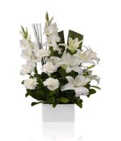 Casablanca Gifts toDomlur, sparsh flowers to Domlur same day delivery