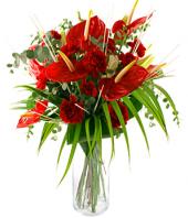 Burning Desire Gifts toHBR Layout, flowers to HBR Layout same day delivery