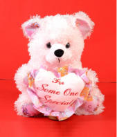 For Someone Special Teddy Gifts toShanthi Nagar, teddy to Shanthi Nagar same day delivery