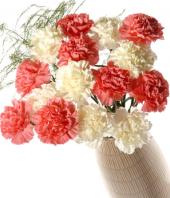Pink and White Carnations Gifts toIndia, sparsh flowers to India same day delivery