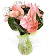 Pink Paradise Gifts toIndia, sparsh flowers to India same day delivery